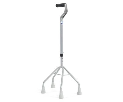 Vierpikkel (uitleenmateriaal Goed)